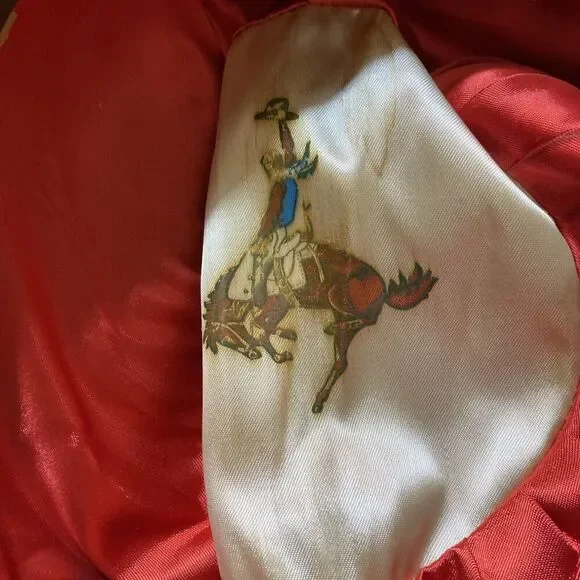 Vintage Willard Hat Co Dark Tan Felt Made in Texas Feather Hat Band Western 60’s - Picture 8 of 10